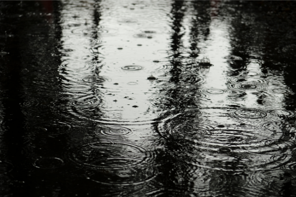 雨が降る地面